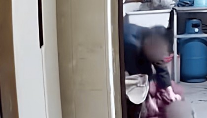 儿子杨某中，已被抓获