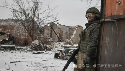 俄国防部：东部集团军部队解放顿涅茨克人民共和国弗列米夫卡村