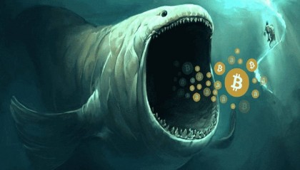 BTC鲸鱼增持是否导致比特币价格飙升？