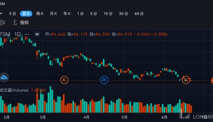 下半年美股投资策略：电动车股仍是大热门，芯片股或现分化