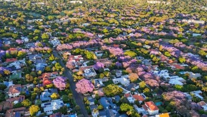 热点追踪｜第二十次G20峰会