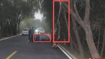 陕西兴平56岁女教师骑电动车“撞树枝”身亡，交警判定担主责，家属提出诸多质疑，多方回应