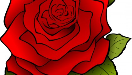 啥？一个简单的red我还能不认识？对！你还真不认识……