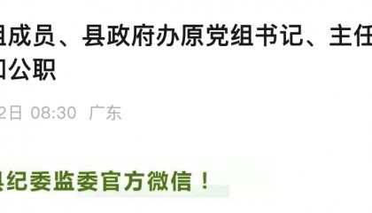 惠州博罗县政府原党组成员、县政府办原主任朱易彬被双开！
