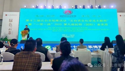 冰岛4.8万元/公斤、米地7.6万元/公斤……2025年云南著名山头春茶价格发布
