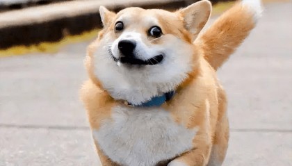 迅动量化，一个坚持10年普惠中小投资者的量化交易平台