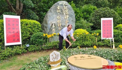 袁隆平逝世4周年，家人在墓前种下22株向日葵