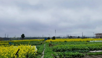 桌子与钉耙 | 倪志量