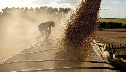 特朗普求中国买美国大豆：将提供快速服务