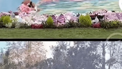 武汉石门峰纪念公园回应“李玟墓杂草丛生”：正在改造升级，将有专人养护