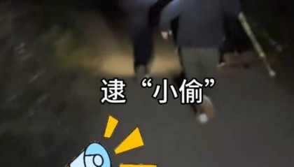 四川一甘蔗地推出“9.9元偷甘蔗”活动，老板：人很多，打算增加npc