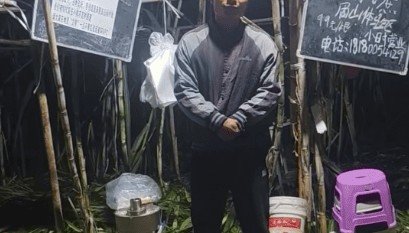 四川眉山自助“偷甘蔗”老板称有人只“偷”不给钱，当地文旅：已安排人员现场协调