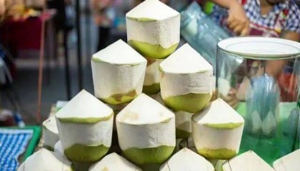 椰子水之外，大公司争夺40亿元生椰市场