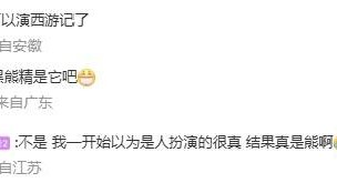 安徽一动物园黑熊披袈裟站立引游客质疑，工作人员：是真熊，人工饲养易出现仿人行为