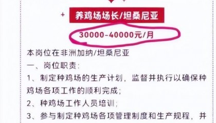 企业招人去非洲养鸡月薪4万，专家回应：如果是普通养殖人员，每月工资只有1000多元，但当地不加班