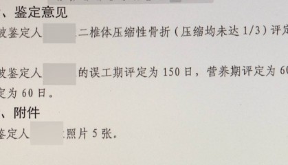 大型犬未拴绳惊倒路人，饲养人赔了28万元
