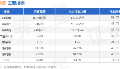 股票行情快报：天富能源（600509）10月18日主力资金净卖出718.00万元