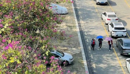 广西将开启“冻人”模式！最冷出现在这一天→