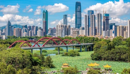 慕了！深圳人太幸福，家门口邂逅百万荷花，城市诗意直接拉满