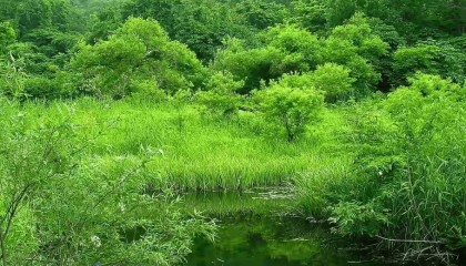 广东珠海驾车撞人事件：35人死亡，43人受伤！