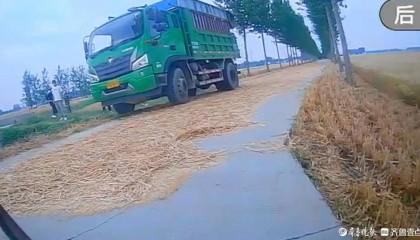 项城125亩小麦被镇信访办主任家抢割，承包户：提交新证据