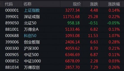 A股小幅高开沪指涨0.14% 油气、芯片板块活跃