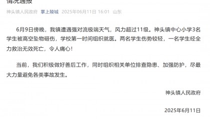 山东德州通报“小学楼顶光伏板掉落砸中多名学生”：3名学生被砸伤，1名学生经全力救治无效死亡
