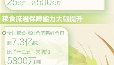 国家粮食安全得到有效保障（权威发布·高质量完成“十四五”规划）