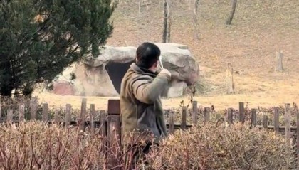 沈阳一男子动物园内用弹弓射老虎，目击者称其“填装了弹丸”，打完后老虎爬起来了，园方：正在核实情况