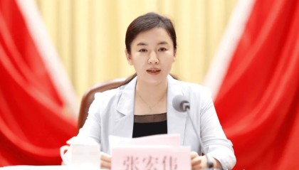 张宏伟，新职明确