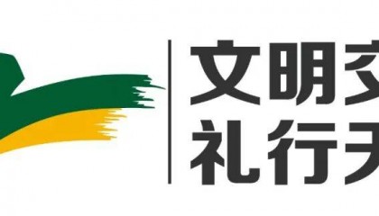 “我根本没反应过来！”刚下车就被撞倒，人都懵了