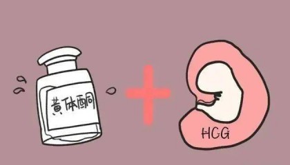 注意孕期HCG数值那些翻倍与降低的问题！