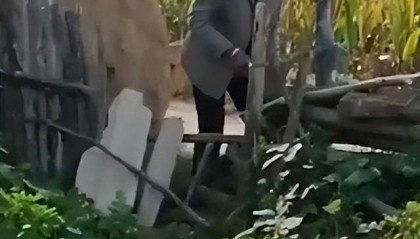 陕西一女子疑因拍亲姑姑偷玉米遭姑父棍杀，邻居欲报警也遇害