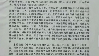 男艺人张艺洋杀害16岁女友被枪决，成娱乐圈首位被执行死刑的艺人