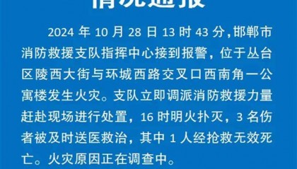 邯郸一公寓火灾致1死2伤，亲历者：楼道全是浓烟，湿毛巾堵门缝捂口鼻自救