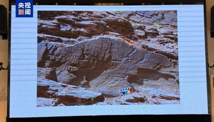 重要发现！扎陵湖秦代刻石得到认定！每经独家采访当地牧民：40年前就曾看见，在他家牧场内