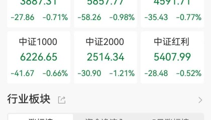 A股收评：低开低走三大指数齐跌，北证50跌2.71%！黄金、算力概念走强，光伏、机器人板块领跌，超4000股下跌，成交1.24万亿放量983亿