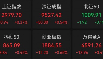 A股高开，贵金属概念活跃