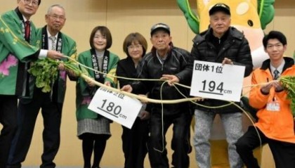 日媒：日本“最长萝卜”长达194厘米