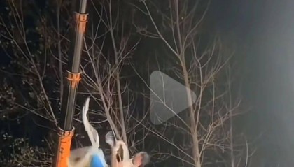 河南一杂技演员直播时坠落砸地，其妻子曾因杂技表演坠亡