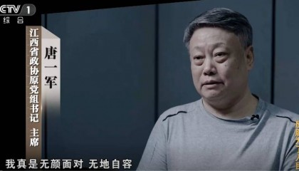 大搞“一家两制”！“老虎”与妻子出镜忏悔