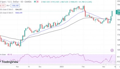 金银铂：贵金属因国债收益率暴跌而上涨