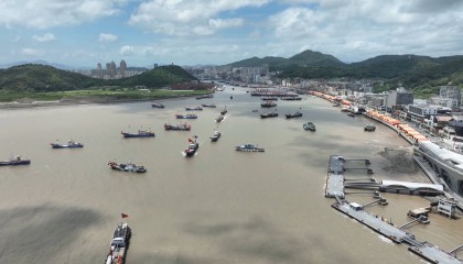 第一网舟山梭子蟹来了，最快4小时达，拼多多三大举措赋能商家迎海鲜旺季