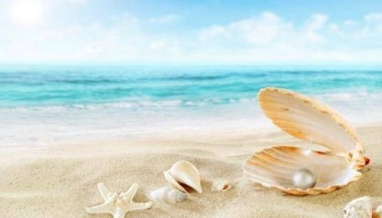 贝壳是先秦的流通货币，为什么无人去海边捡？贝壳都经过“加工”