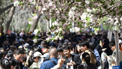 不少大学校园成“打卡地”，高校如何界定“开放度”？