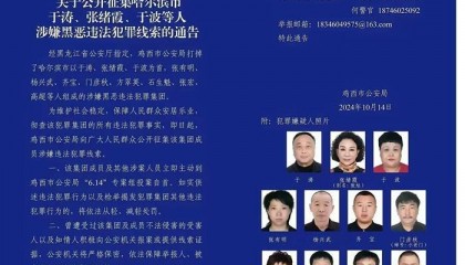 界面调查｜冰城公安局涉黑副局长隐匿的政商关系图