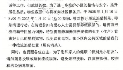 重庆一小区物业大规模投毒捕杀流浪猫？物业回应：通知表述欠缺考虑，已撤回