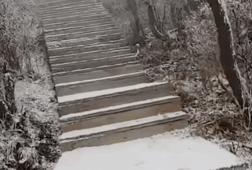 石家庄下雪了!河北雨雪上线!新一股冷空气在路上……