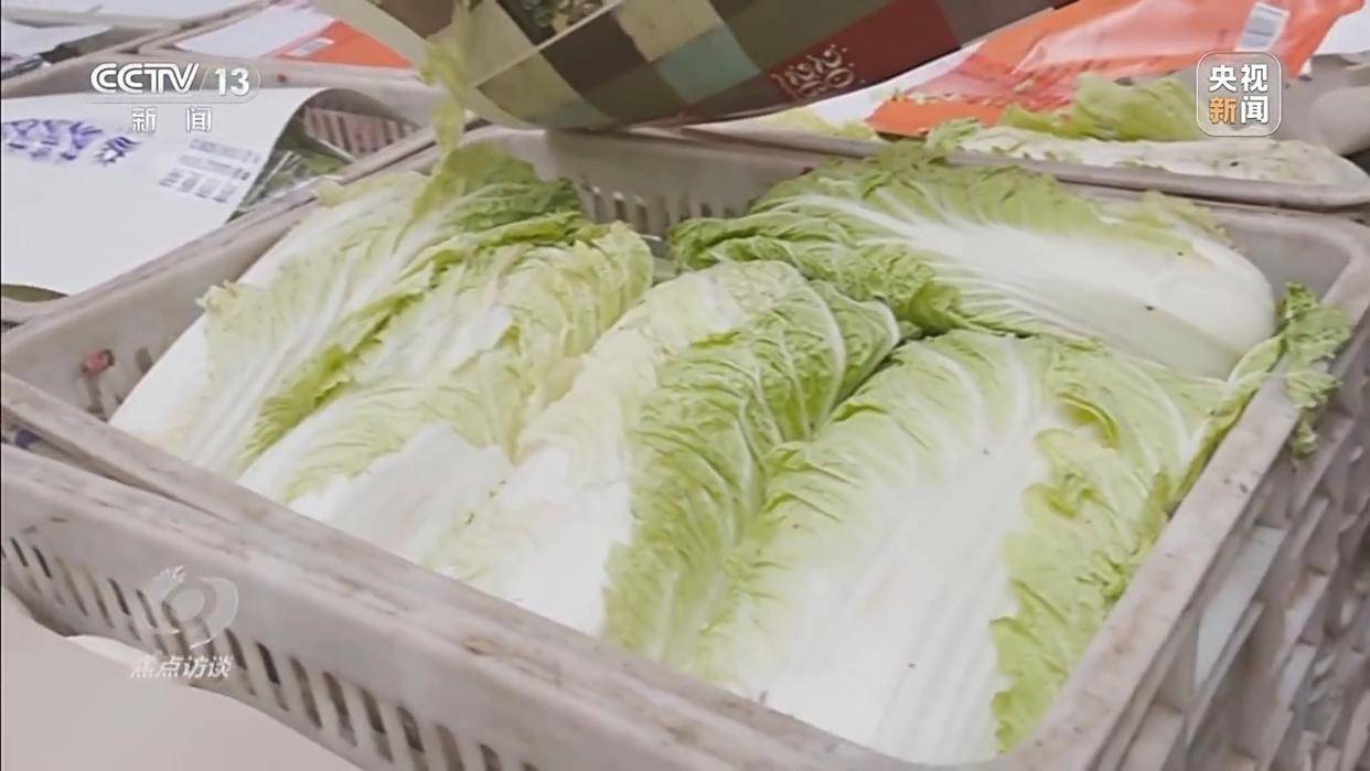 单棵售价超百元,起底“套牌白菜”背后的销售套路