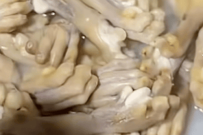 湖南一烧烤店直播煮动物爪子引争议,涉事商家回应